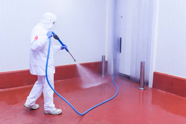Trusted Selmont West Selmont, AL Pressure Washing Experts